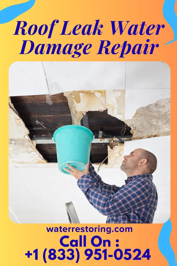 Roof Leak Water Damage Repair in China, TX